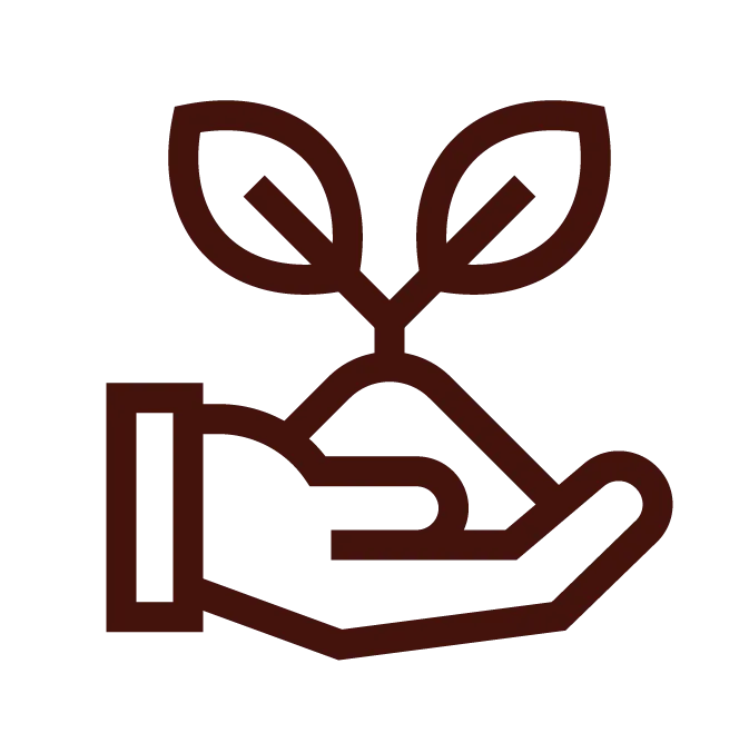 Exploración Hierro Amazónico - imagen 1