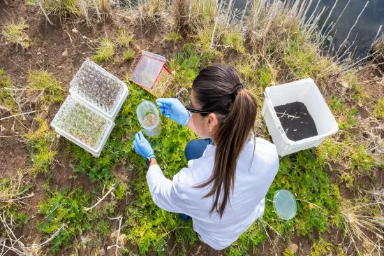 Estudios geotécnicos para carreteras y autopistas